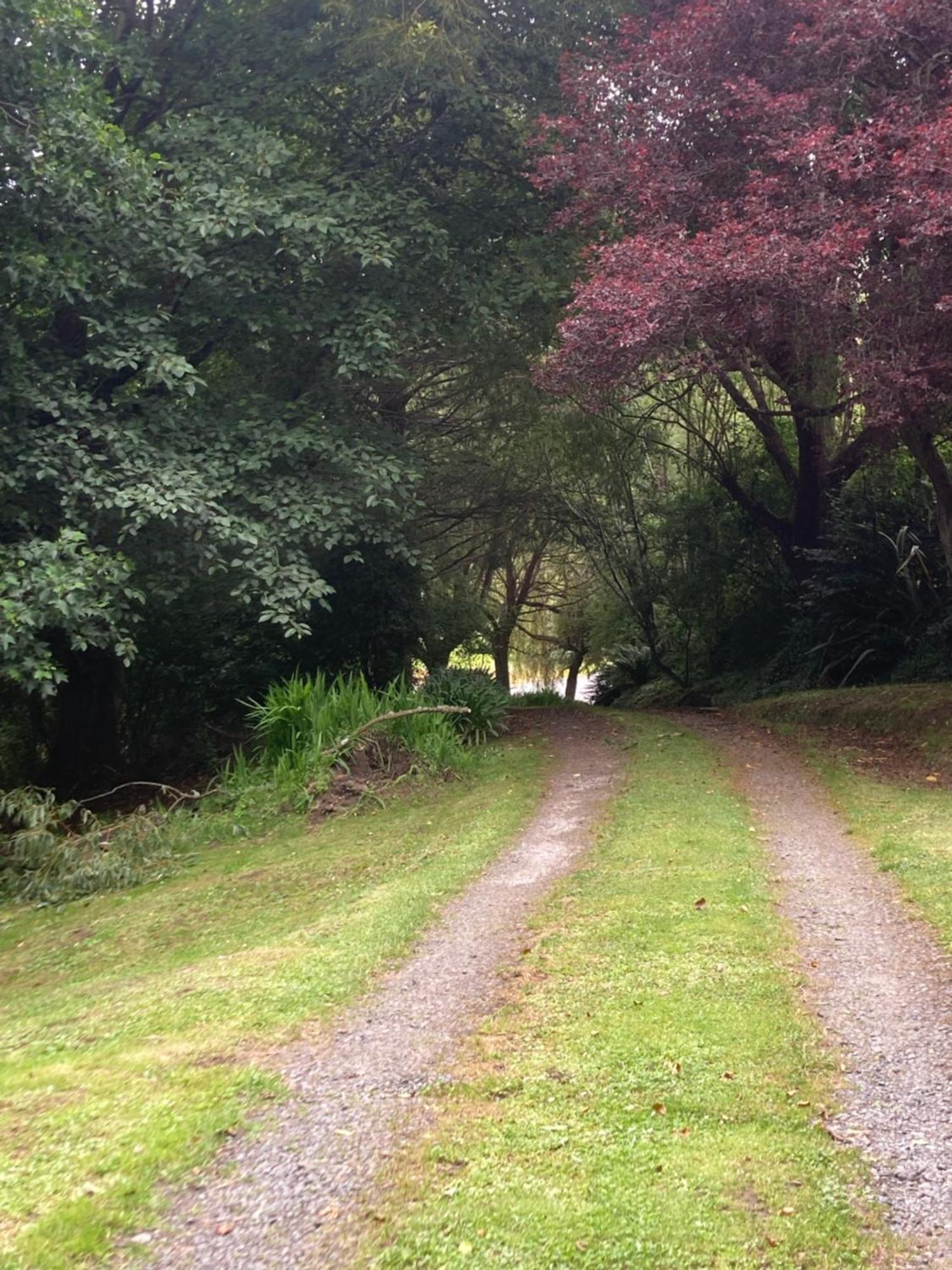 Arden Country House Bnb - Entire House To Yourself -Peace In The Country Dunedin Bagian luar foto